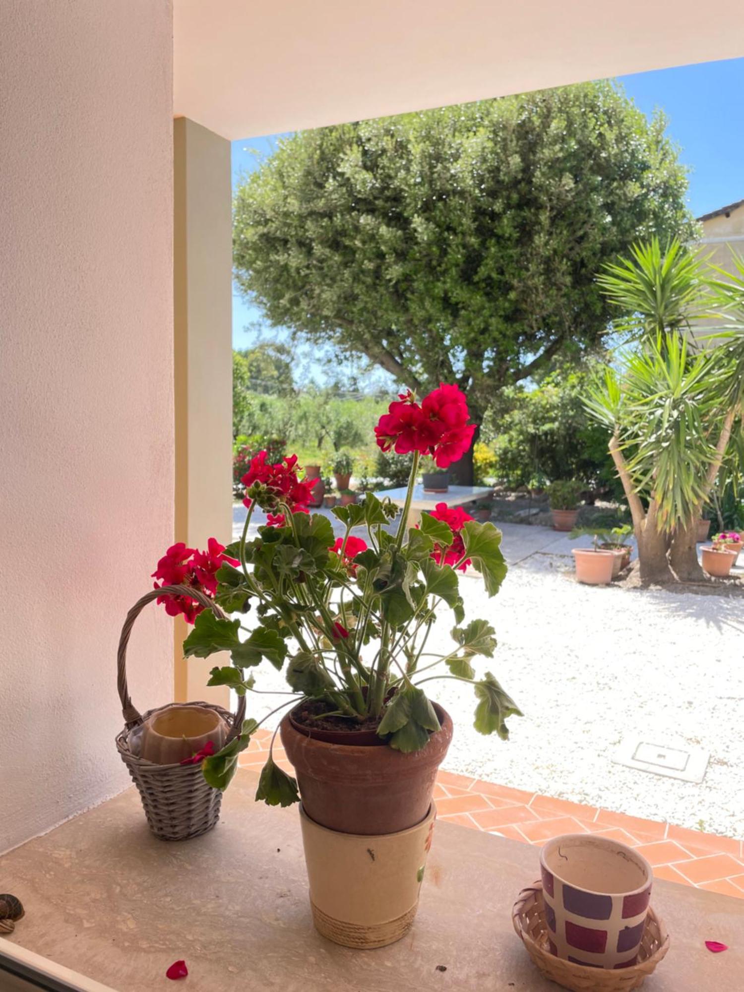 Il Leccio Agriturismo Фьорино Экстерьер фото
